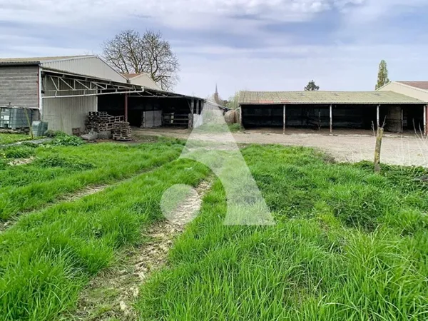Local d’activité et entrepôt Vente Noyelles-sous-Bellonne   157000€