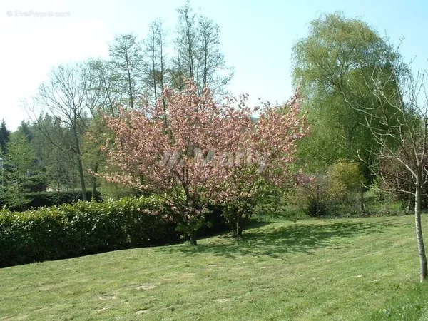 Terrain 2500 m²