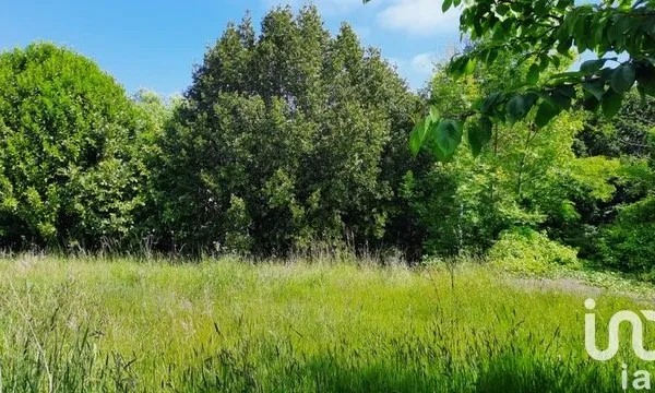 Terrain 598 m²