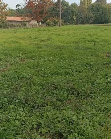 Terrain constructible Ardin