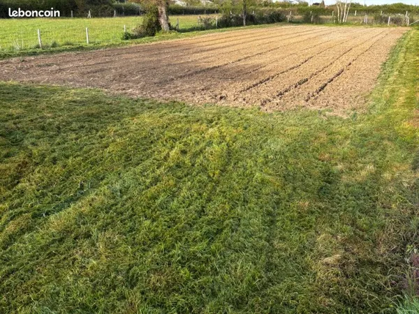 Jardin potager