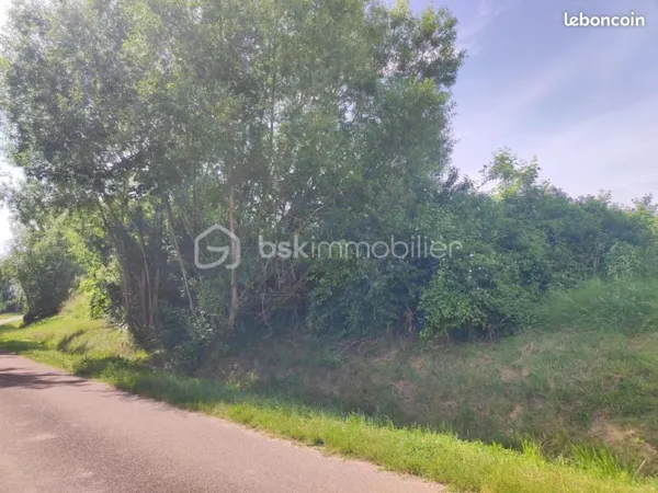 Terrain 2 530 m² Saint Florentin