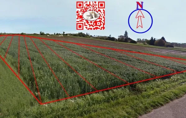vente terrain - (s)