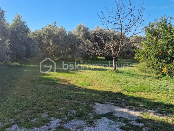 Terrain 430 m²