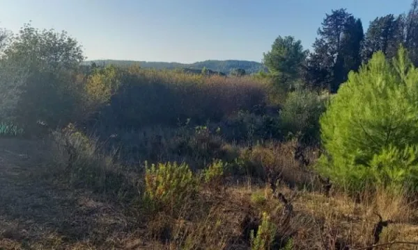 Terrain 200 m²