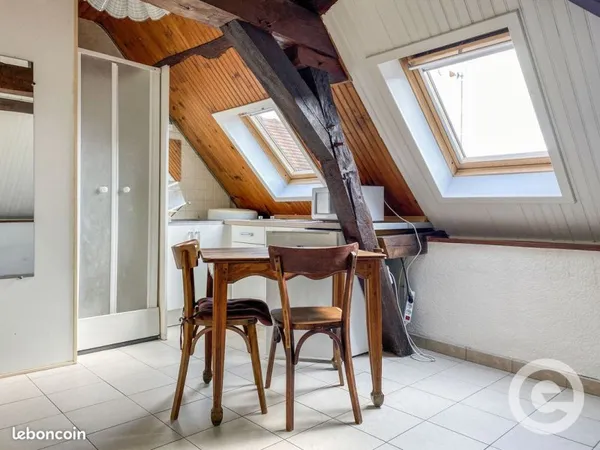 Studio 1 pièce 10 m²