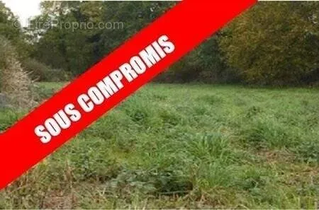 Terrain - 700m ²