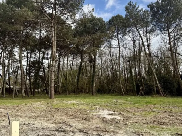 Terrain 538 m²