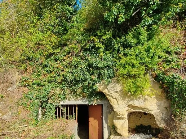 Caves festives