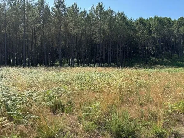 Terrain 1088 m²