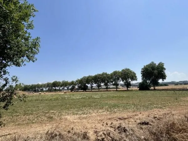 Terrain constructible 1001 m²