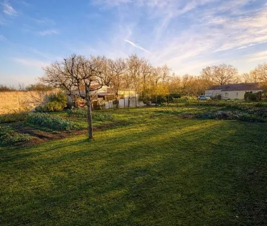 Terrain 716 m²