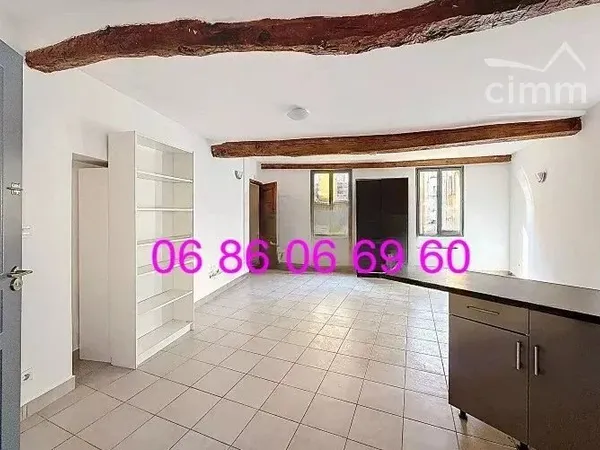 Joli appartement 1 pièce 31m2 refait