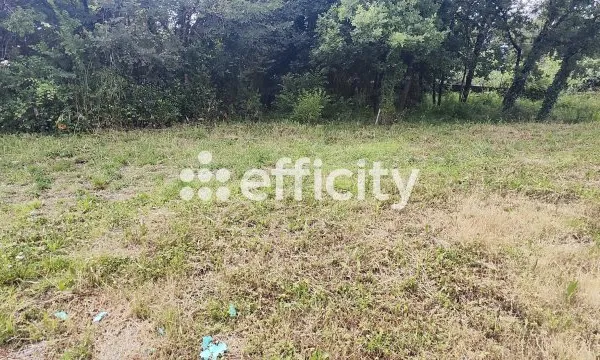 Terrain 338 m²