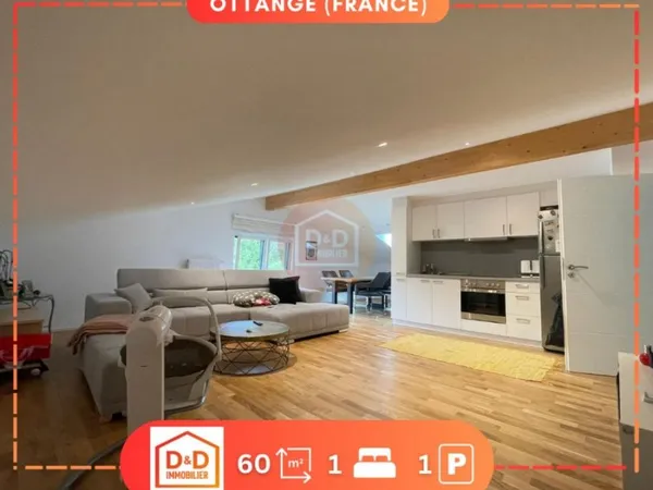 Appartement 3 pièces 60 m²