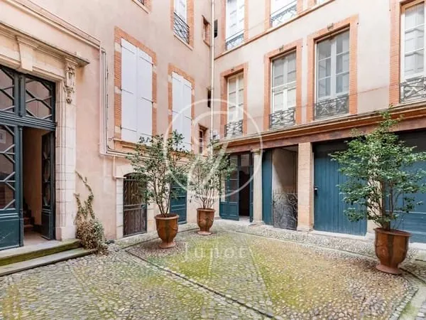 Coeur de Toulouse - Haute-Garonne - Appartement unique en hyper centre à vendre.
