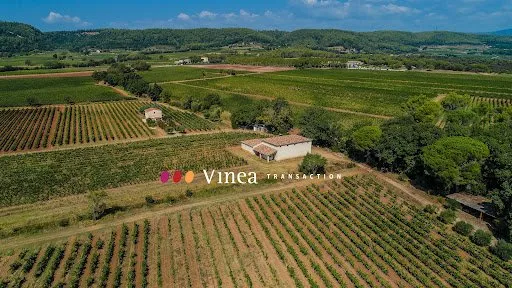 Bien agricole et foncier Vente Callas   1643000€