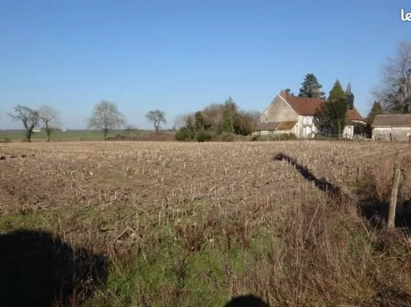 Beau et grand terrain construtible