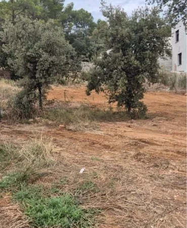 Terrain à bâtir