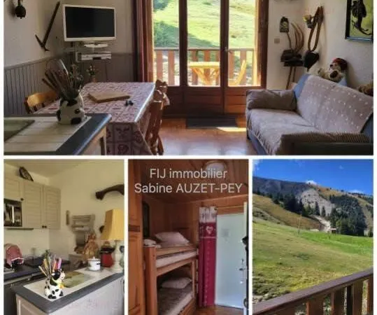 Appartement 1 pièce 26 m²