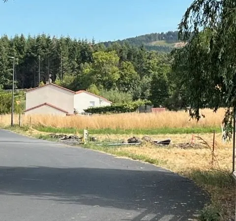 Terrain à bâtir 950m2 Borne 43350