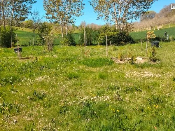 Terrain constructible