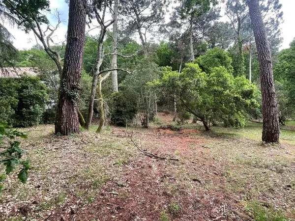 Terrain 1050 m²