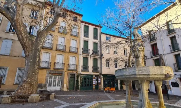 MAGNIFIQUE SPACIEUSE MAISON BOURGEOISE AVEC TERRASSE