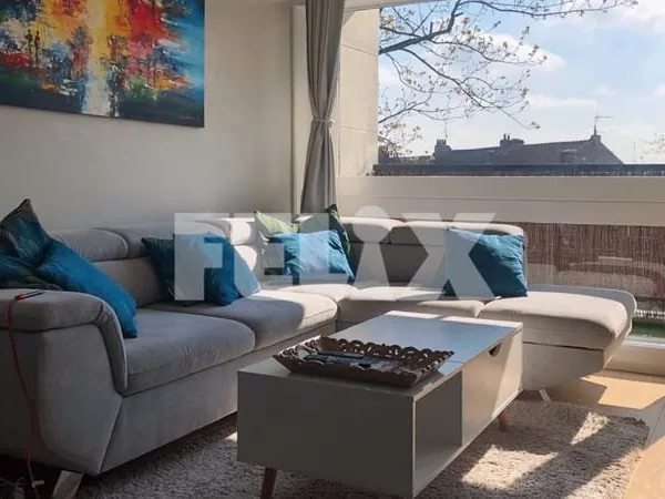 Appartement T4 113 m2 Parc Saint-Maur Lille