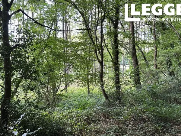 Commerce Vente Médréac   16600€