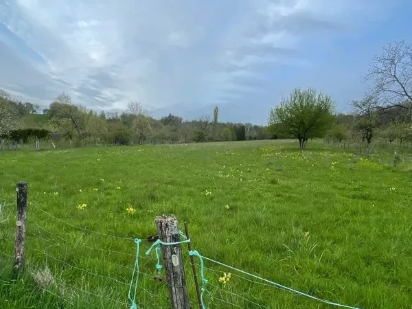 Terrain - 1,06 ha - Bar-le-Duc (secteur Les Pas de Vaches)