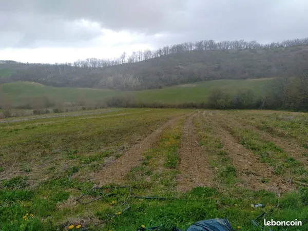 Terrain agricole