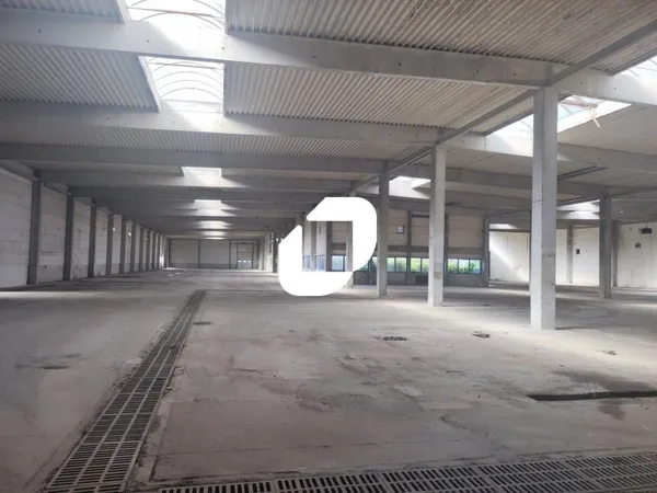Local commercial 7035 m²