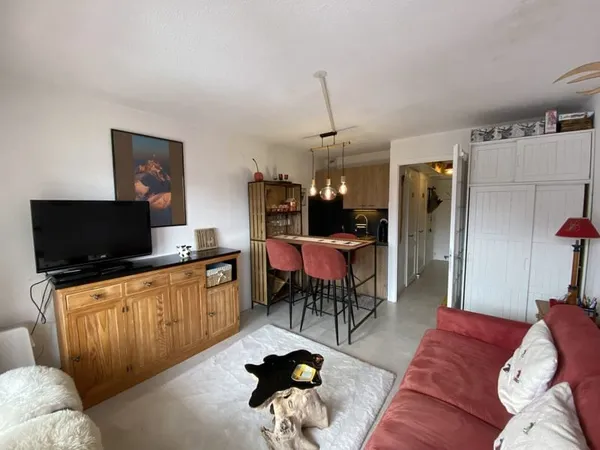 Appartement T1 avec coin montagne rénové 23,62 m2 Samoën