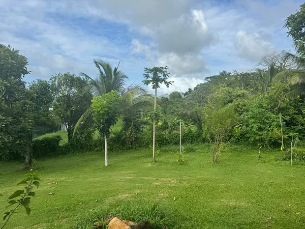 Terrain constructible de 1998m² au Lamentin