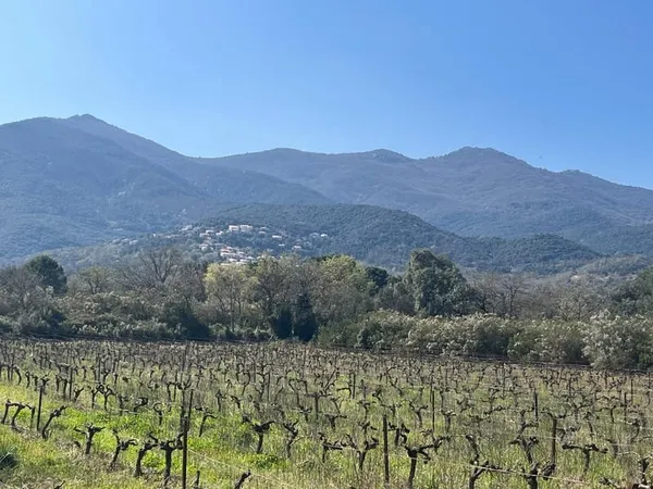 Terrain agricole plat de 5000 m2