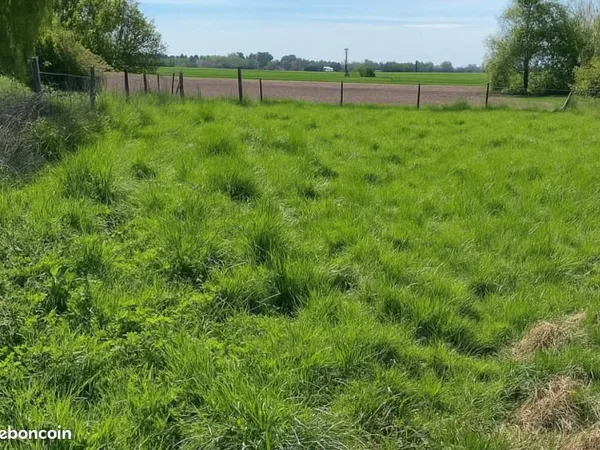 Terrain 552 m² Rouvroy