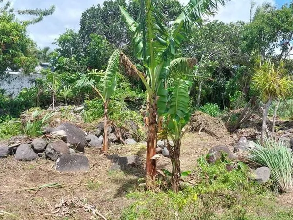 TERRAIN 1125m2 ST ANDRE VILLE