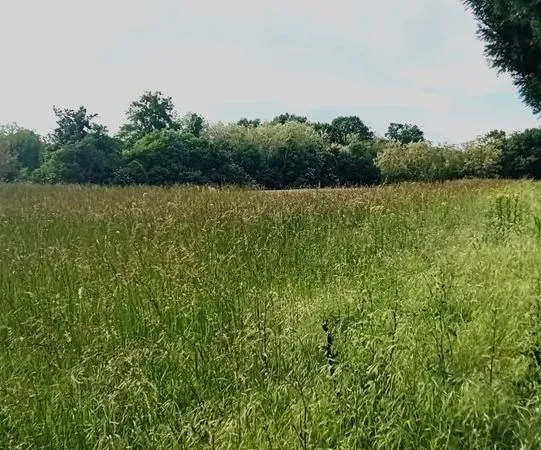 Parcelle à bâtir 870 m² à Saint-Pierre-de-Chandieu