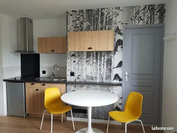 Beau grand studio reims centre