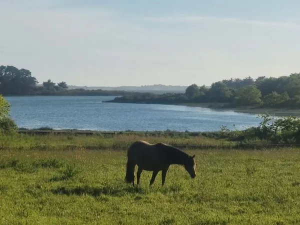 Propriété agricole vue sur le Golfe du Morbihan