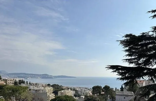 Villa 10 pièces 593 m²