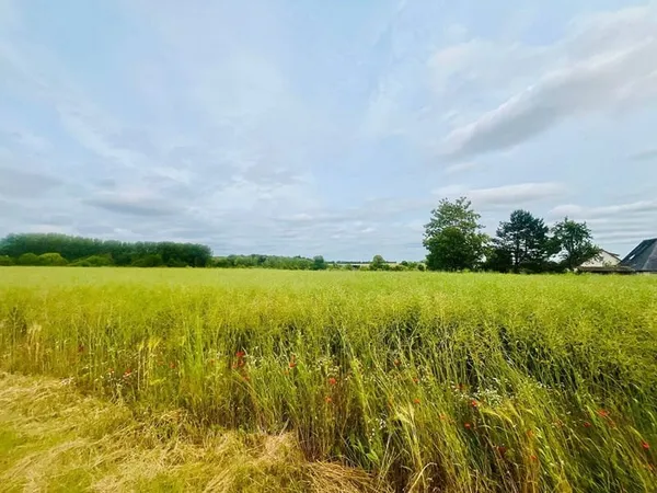 Terrain 1300 m²