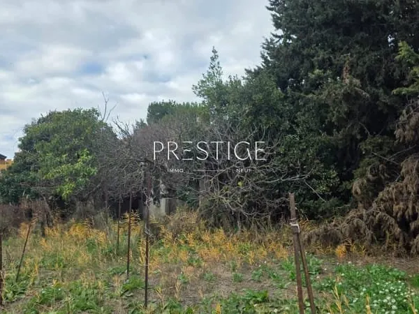 Terrain 495 m²