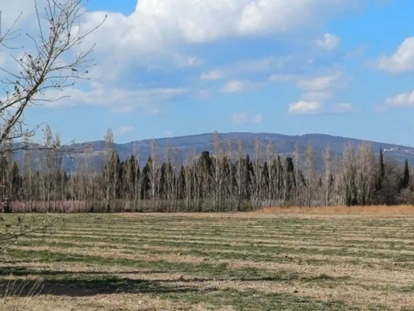 Terrain 596 m²