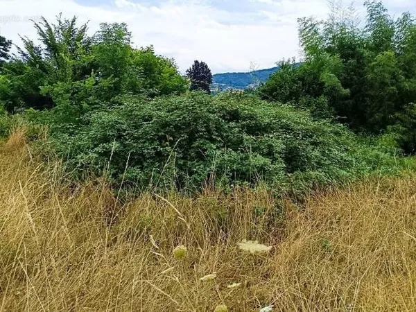 Terrain 420 m²