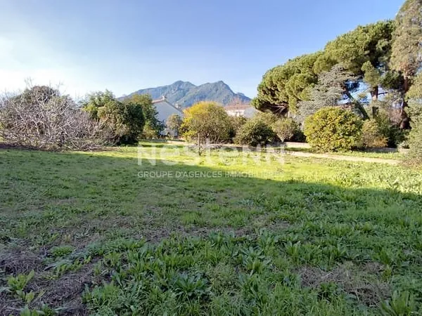 TERRAIN A BATI 20230 MORIANI