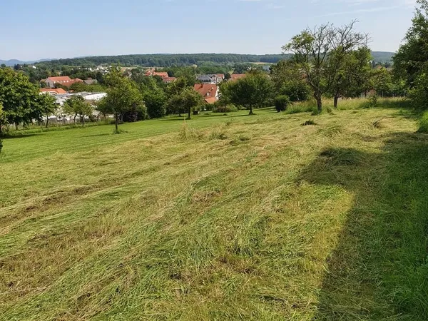 Terrain constructible