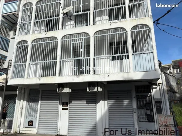 Immeuble de rapport 346 m²