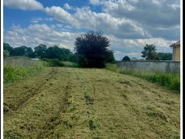 Terrain à vendre (65)